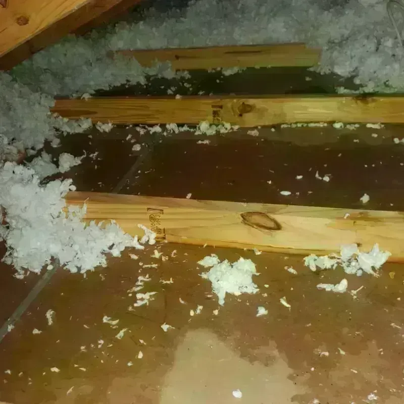 Attic Water Damage in New Kensington, PA